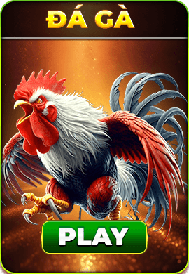 Trang chủ Bet88 23 da ga bet88